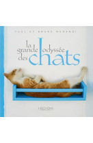 La grande odyssée des chats