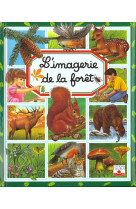 L'imagerie de la forêt