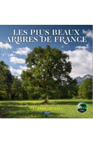 Calendrier des plus beaux arbres de france 2024