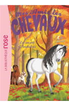 Mes amis les chevaux - sophie thalmann - t19 - mes amis les chevaux 19 - le secret d'andalou