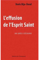 L'effusion de l'esprit-saint - une grace a decouvrir