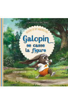 Galopin se casse la figure - quand tu ny arrives pas - edition illustree