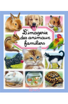 L'imagerie des animaux familiers