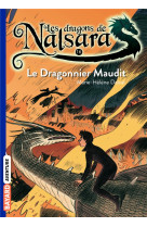 Les dragons de nalsara, tome 16