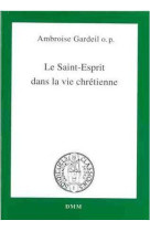 Le saint-esprit dans la vie chrétienne