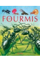 Les fourmis