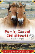 Pamir, cheval des steppes