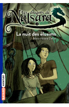 Les dragons de nalsara, tome 04