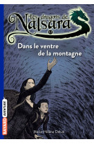 Les dragons de nalsara, tome 12