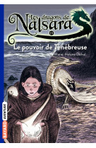 Les dragons de nalsara, tome 19