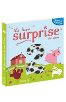 Livre surprise de mes 2 ans (le)