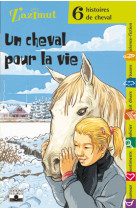 Chevaux - un cheval pour la vie