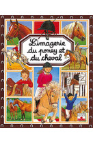 Poney et cheval