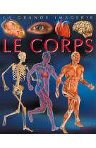 Le corps