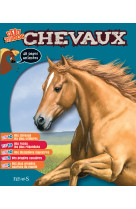 Chevaux