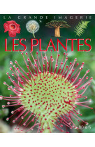 Les plantes