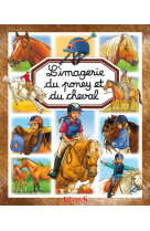 Poney et cheval