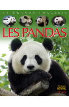 Les pandas