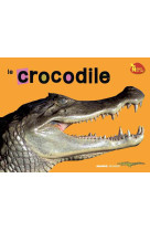 Le crocodile