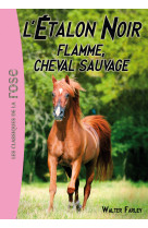 L'étalon noir 10 - flamme, cheval sauvage