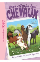 Mes amis les chevaux 18 - la mascotte du centre équestre