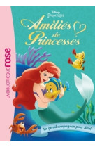 Amitiés de princesses 03 - un gentil compagnon pour ariel