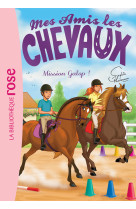 Mes amis les chevaux 27 - mission galop !