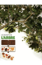 Les secrets de l'arbre