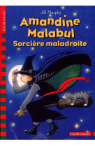 Amandine malabul sorciere maladroite