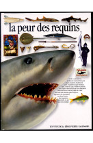 La peur des requins