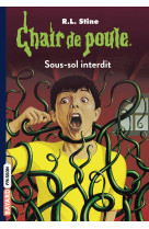 Chair de poule , tome 17