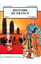 Histoire de france tome 1 - les origines - de la préhistoire aux gaulois