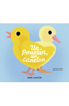 Un poussin, un caneton