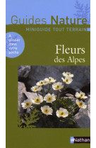 Fleurs des alpes