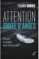 Attention chute d'anges - pourquoi le pangolin aussi monte au ciel ?