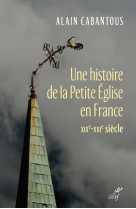 Une histoire de la petite eglise en france - xixe- xxie siecle