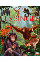 Singes (les)