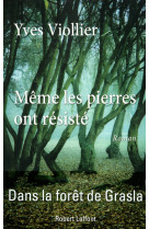 Même les pierres ont résisté