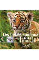 Les bebes animaux en 1000 photos