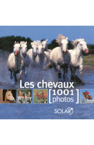 Les chevaux en 1001 photos