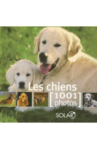 Les chiens en 1000 photos