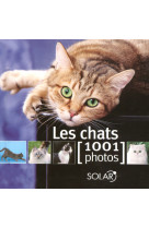 Les chats en 1001 photos