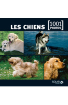 Les chiens en 1001 photos - ned -