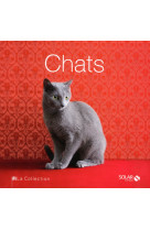 Chats - la collection