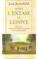 Après l'extase, la lessive