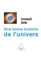 Une brève histoire de l'univers