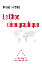 Le choc démographique