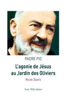 L'agonie de jésus au jardin des oliviers