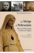 La vierge à pellevoisin