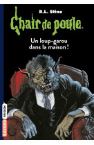 Chair de poule , tome 60